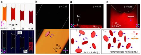 Crystals Free Full Text Introduction To Colloidal And Microfluidic