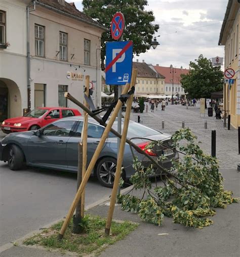 Nc Un Copac Rupt De Ma In N Centrul Sibiului Prim Ria Spune C Nu