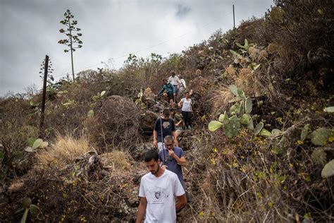 La Cueva de los Cabezazos un túnel del tiempo aborigen Eldía es Tenerife