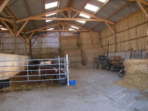 Ecuries de Marlau centre équestre poney club Saint Brieuc