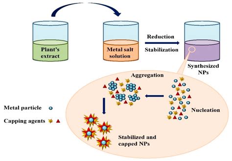 Nanomaterials Free Full Text Green Nanotechnology Plant Mediated