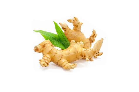 Fresh Organic Ginger Evergreen Foods