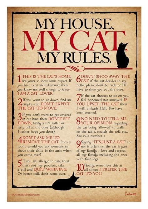 My House My Cat My Rules Digital Print For Cat Lovers A4