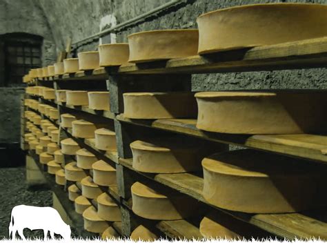 Guided Tour To The Places Of Transformation And Maturing Of Fontina