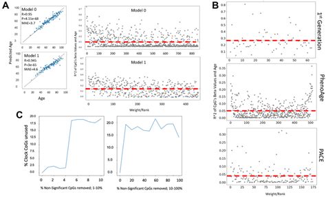 Cytosine ranking by EN is not based on the changes in methylation with... | Download Scientific ...