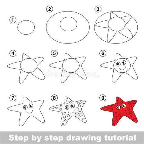 Drawing Tutorial. How To Draw a Starfish Stock Vector - Illustration of ...