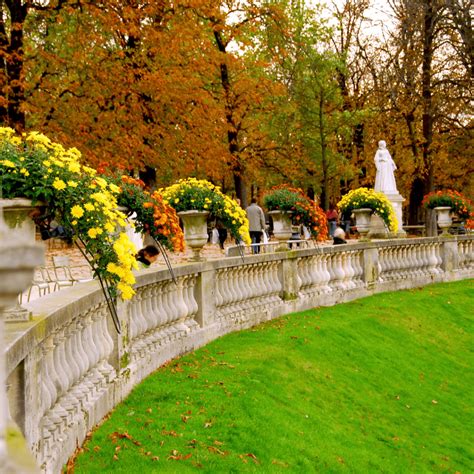 Jardin-du-Luxembourg-autumn-flowers - Paris For Dreamers