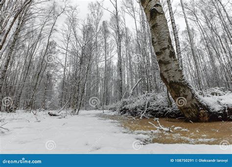 A Beautiful Snow-covered Winter Forest. Ice Lake and Forest Streams ...