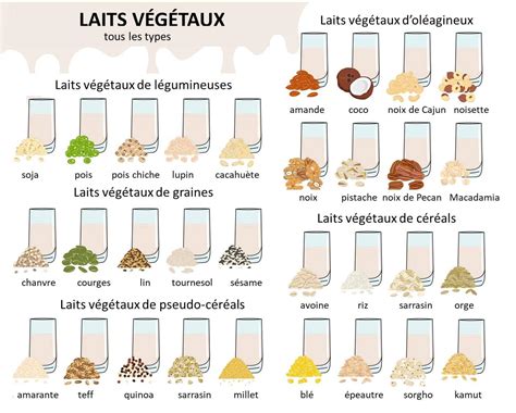 Lait V G Tal Maison Notre Recette Simple Et Savoureuse