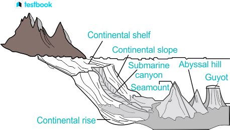 What Are The Major Features Of Ocean Floor | Viewfloor.co