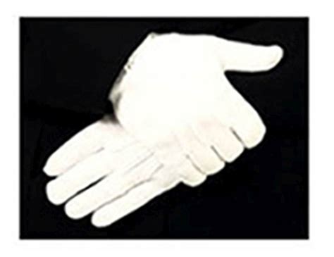 Buy Parade Gloves Nylon Stretch With Raised Pointing Snap Hero S Pride Online At Best Price Co