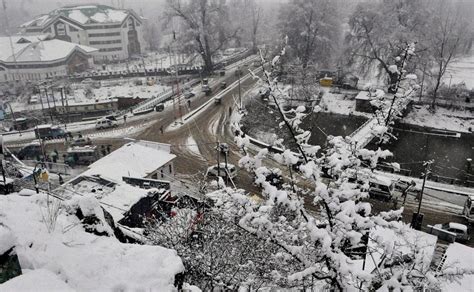 Srinagar turns white after fresh snowfall