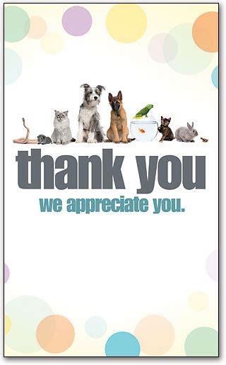 Veterinary Thank You Cards Wide Selection Smartpractice Veterinary