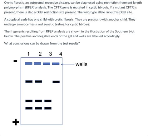 Solved Cystic Fibrosis An Autosomal Recessive Disease Can Chegg