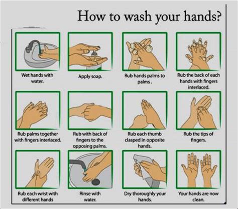 6 Step Hand Washing Technique