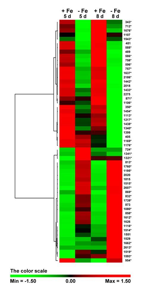 Clustering Analysis Two Way Hierarchical Clustering Analysis Of The