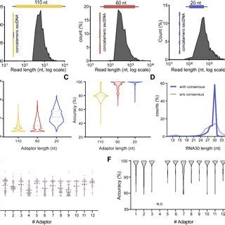 Ribosome Profiling Analysis Comparison CircAID P Seq ONT Vs Ribo Seq