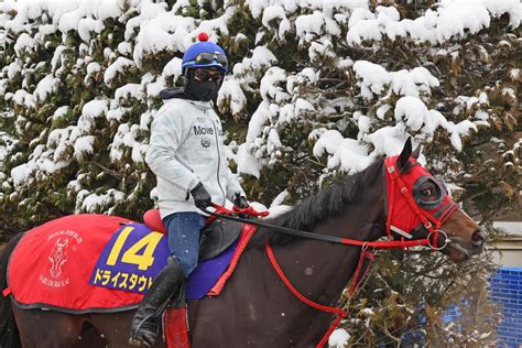 【フェブラリーs】ドライスタウトは運動で体ほぐす 中央初マイルも牧浦師「問題ないと思う」 競馬写真ニュース 日刊スポーツ