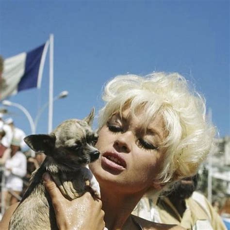 Vintage Icons On Instagram Jayne Mansfield And Her Chihuahuas