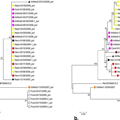 Comparative Phylogenetic Analysis Of Polymerase A And Capsid B