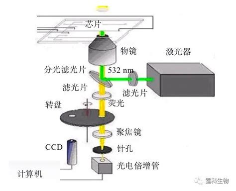 图解微流控｜第25期 杭州霆科生物科技有限公司