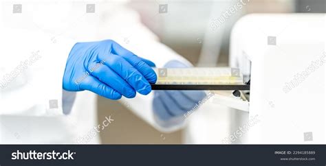 5,130 Biochemical Examination Royalty-Free Images, Stock Photos ...