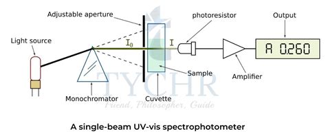 Biochemistry-IBDP Sciences - Chemistry Chapter 13 Notes | Tychr 