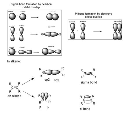 Solved C What Is Sigma And Pi Bonds And Explain Clearly Using Alkene