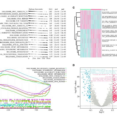 Gene Set Enrichment Analysis Gsea Gene Set Variation Analysis Download Scientific Diagram