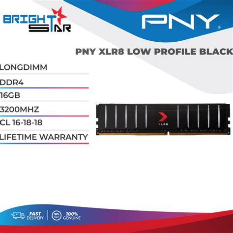 PNY XLR8 16GB Single 32GB 2x16GB Kits 3200MHz DDR4 LongDimm CL 16 18