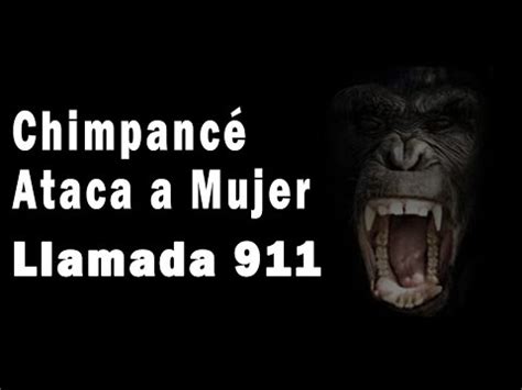 Charla Nash La Historia De La Mujer Atacada Por Travis El Chimpanc