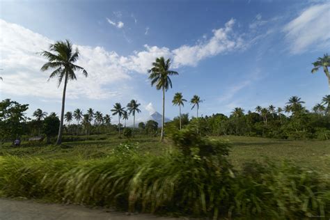 Donsol Philippines – My Scuba Photos