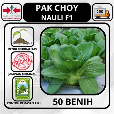 50 Butir Benih PAK CHOY NAULI F1 Cap Panah Merah Pakcoy Bibit Sayuran