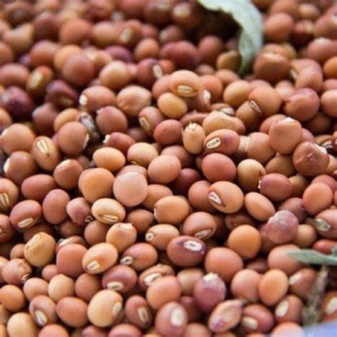 Brown Natural High In Fiber High In Protein Lobia Dal Black Eyed Beans