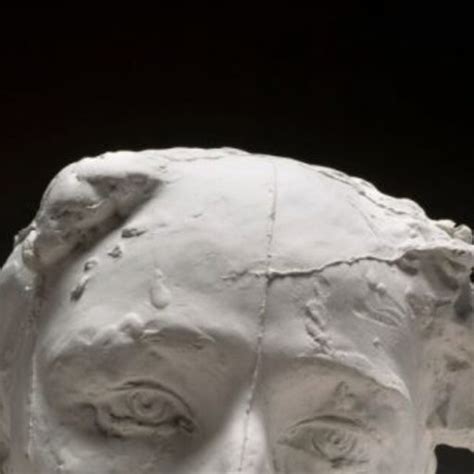 Camille GAY University of Burgundy Dijon UB Département LICENCE Research profile