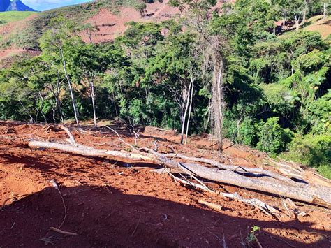 Polícia Militar Ambiental autua infrator por crime ambiental em Mutum