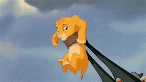 سيمبا الملك الأسد سكار GIF - Simba Lion King Scar - Discover & Share GIFs