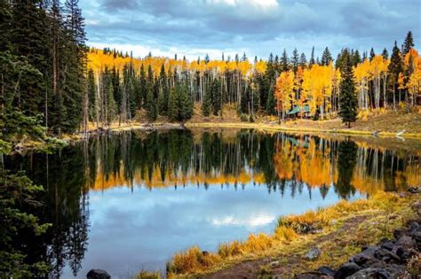 Grand Mesa in the Fall | Grand Junction, Colorado