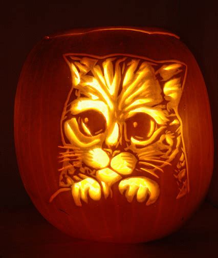 21 Incredible Cat Pumpkin Carvings Catster