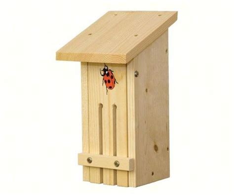 Buy Ladybug Habitat (STOV) Online With Canadian Pricing - Urban Nature ...