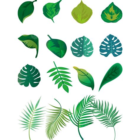 Cannabis Leaves Vector Hd Png Images Cannabis Leaves Illustrations