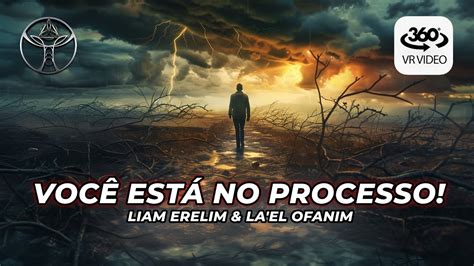 Entendendo O Caminho Do Despertar Liam Erelim La El Ofanim