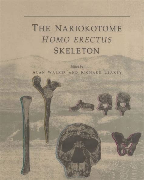 The Nariokotome Homo Erectus Skeleton Medicine Health