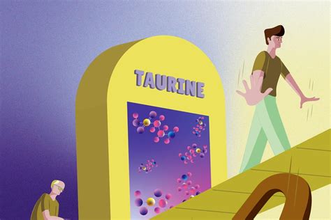 Taurine Supplements May Be Key To Slowing Down Ageing Process And