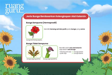 Perkembangbiakan Tumbuhan Secara Generatif