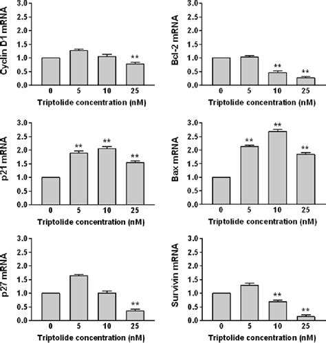 Figure From Triptolide Induces Apoptosis Of Pma Treated Thp Cells