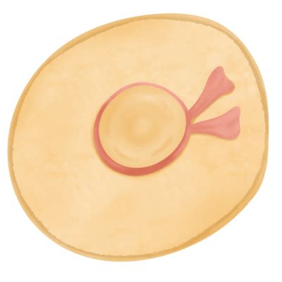 Breast PNGs for Free Download