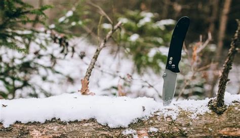 12 Essential Bushcraft Tools: Which do You Really Need?