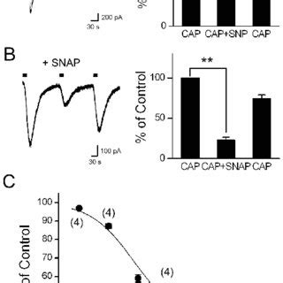 Effects Of The NO Donors SNP And SNAP On Icap In Cultured DRG