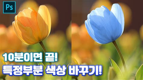 색상 선택 도구 포토샵 강좌 꿀팁 10분안에 끝내요 특정부분 색상 바꾸기 Photoshop Color Change